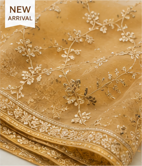 Zari Work Organza
